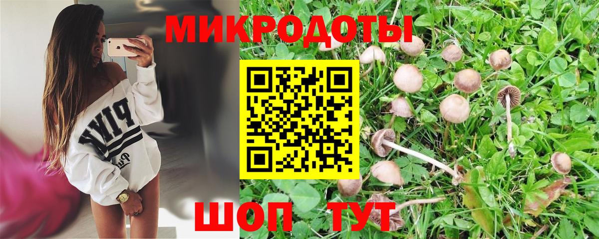 Ирбит  Псилоцибиновые грибы MAGIC MUSHROOMS  Вход с VPN  Псилоцибиновые грибы мухоморы 